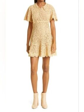 JONATHAN SIMKHAI Cheyenne Guipure Lace Mini Dress In Honey US 0 Org $695